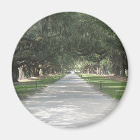 Carretera de roble en Boone Hall, Charleston SC Ma