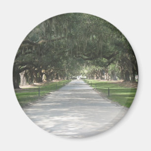 Imán Carretera de roble en Boone Hall, Charleston SC Ma