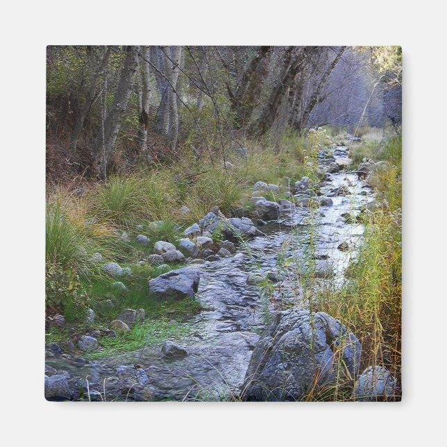 Imán Carretera East Fork/Hayfork...... (Frente)