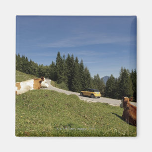 Imán carretera postalm, weissenbachtal,