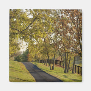 Imán Carretera rural a través de la región de Bluegra