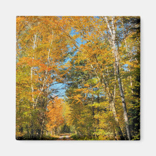 Imán Carretera rural colores de otoño New Hampshire