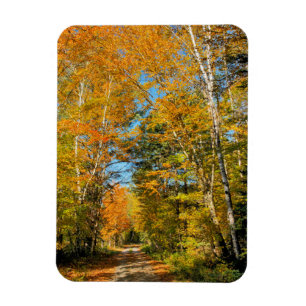 Imán Carretera rural Colores otoñales New Hampshire