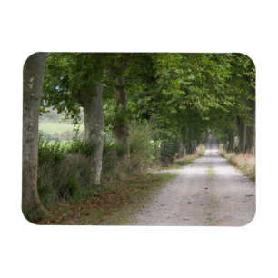 Imán Carretera rural de tierra cerca del pueblo de