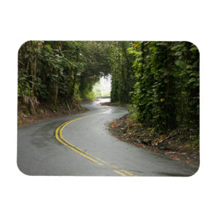 Imán Carreteras con curvas a través de la selva