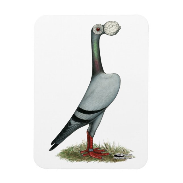 Imán Carrier Pigeon 2012 (Vertical)