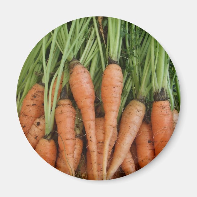 Imán Carrot Magnet (Frente)