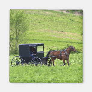 Imán Carruaje y caballo Amish cerca de Berlín, Ohio.