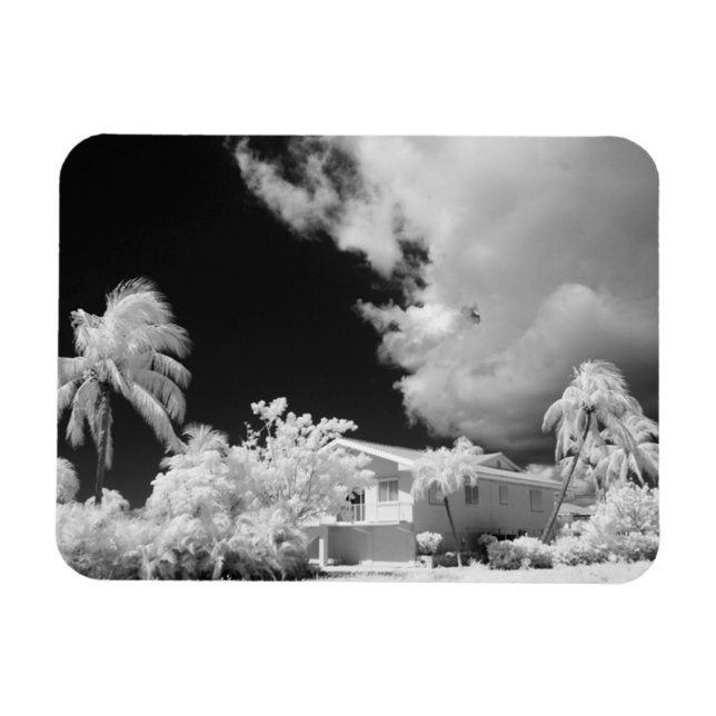 Imán Casa de Florida Keys y sus palmeras, EE. UU. (Horizontal)