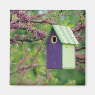 Imán Casa de Pájaros en un Árbol Redbud