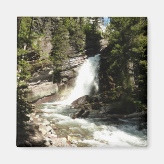 Imán Cascada Baring en el Parque Nacional Glacier