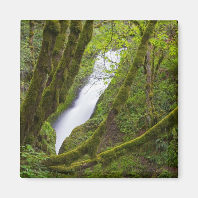 Imán Cascada Bridal Veil (Frente)