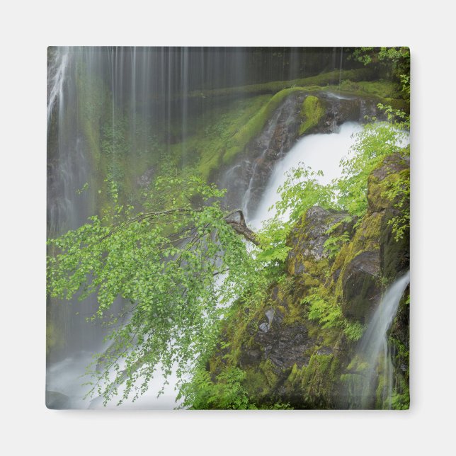 Imán Cascada de Agua Verde Escénica (Frente)