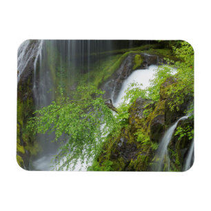 Imán Cascada de Agua Verde Escénica