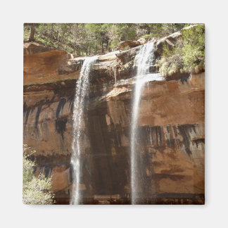 Imán Cascada de Emerald Pool IV del Parque Nacional Zio