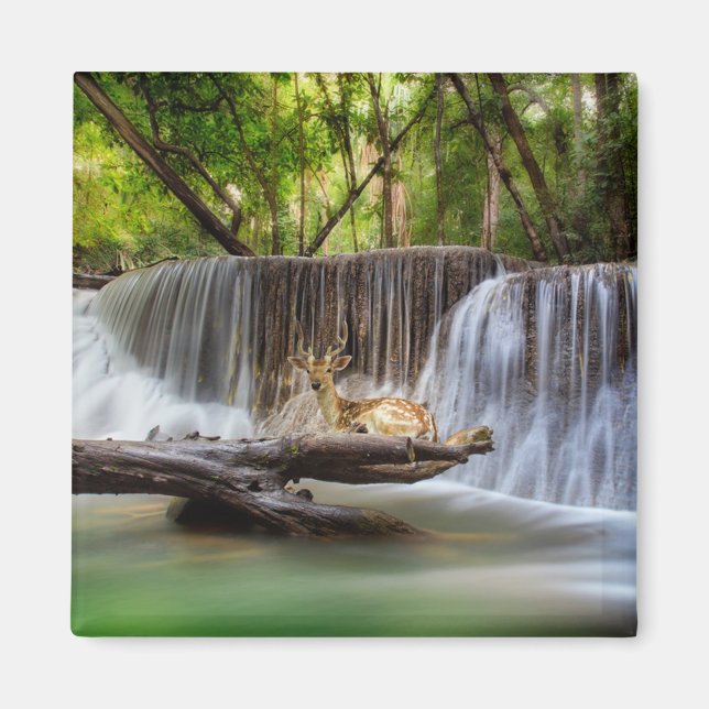 Imán Cascada de Erawan con relajación de ciervos (Frente)