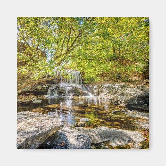 Imán Cascada De Tanyard Creek En Caída (Frente)