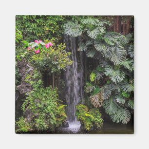 Imán Cascada del jardín exuberante, China