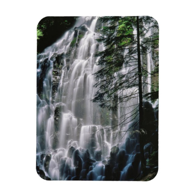 Imán Cascada en bosque, Oregón (Vertical)
