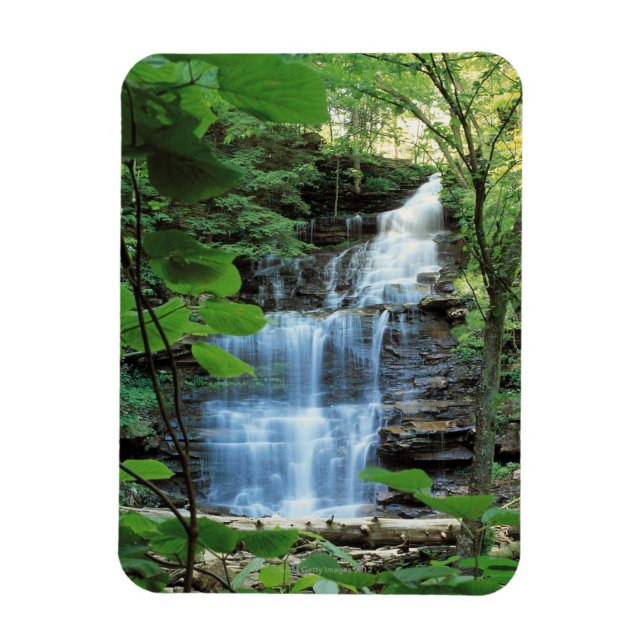 Imán Cascada en el Parque Estatal Rickets Glen , (Vertical)