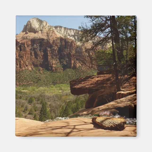 Imán Cascada en Emerald Pools en Zion National Park (Frente)