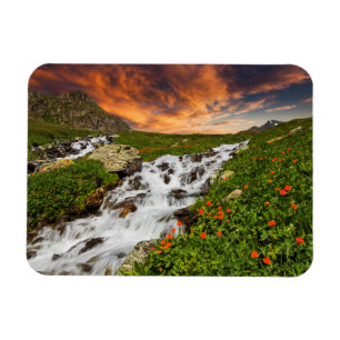 Imán Cascada en las montañas con las flores