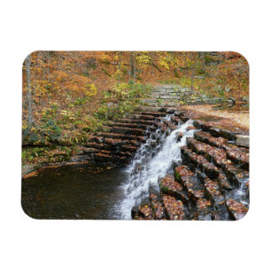 Imán Cascada en Laurel Hill State Park II