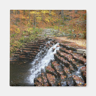 Imán Cascada en Laurel Hill State Park II