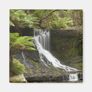 Imán Cascada Horseshoe, Parque Nacional Mount Field,