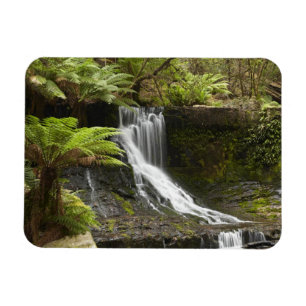Imán Cascada Horseshoe, Parque Nacional Mount Field,