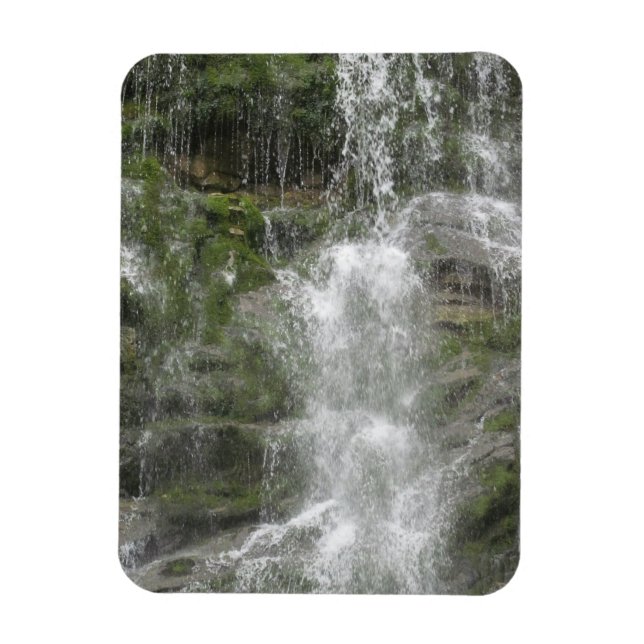 Imán Cascada La Chute en el Parque Nacional Forillon (Vertical)