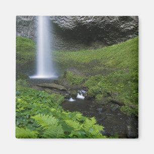 Imán Cascada Latourell, desfiladero del río Columbia, O