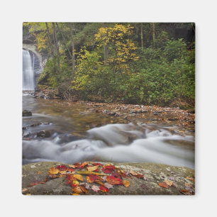 Imán Cascada Looking Glass en el Pisgah National