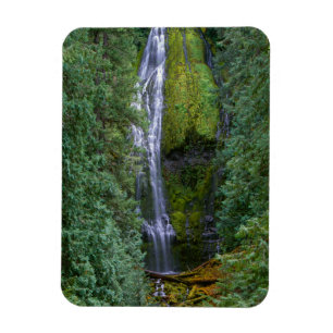 Imán Cascada Lower Proxy   Bosque Nacional Willamette