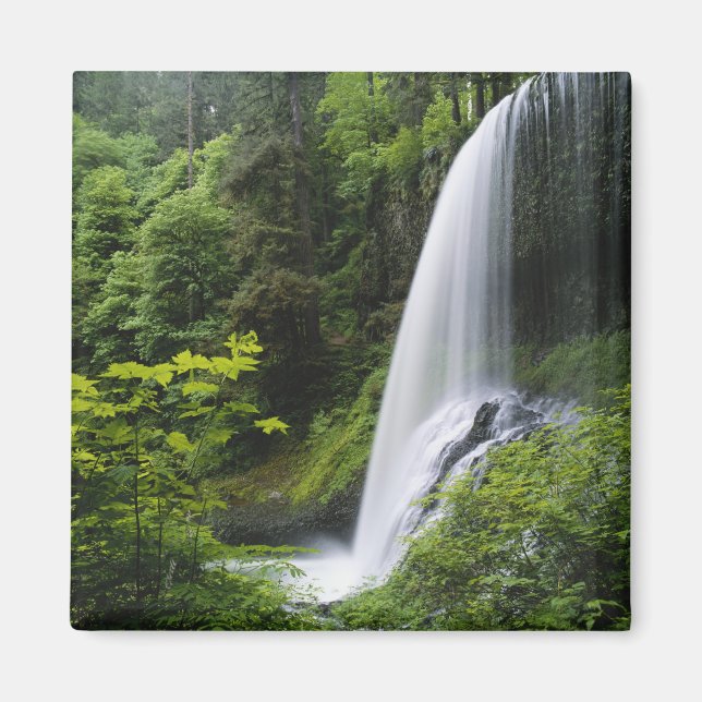 Imán Cascada Middle North, Parque Estatal Silver Falls, (Frente)