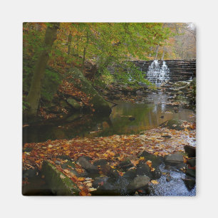Imán Cascada otoño y naturaleza de Creek Pennsylvania