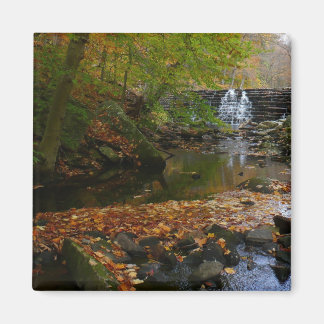 Imán Cascada otoño y naturaleza de Creek Pennsylvania