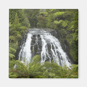 Imán Cascada Owharoa, desfiladero de Karangahake, cerca