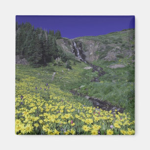 Imán Cascada y flores silvestres en pradera alpina, 3
