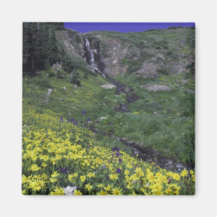 Imán Cascada y flores silvestres en prado alpino,