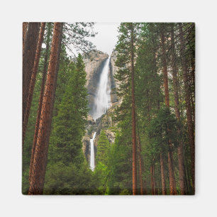 Imán Cascada Yosemite a través del bosque