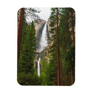 Imán Cascada Yosemite a través del bosque