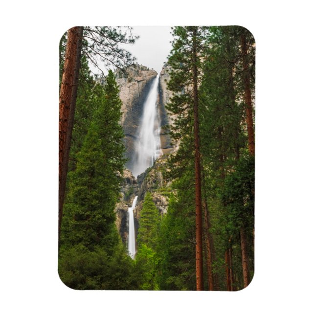 Imán Cascada Yosemite a través del bosque (Vertical)
