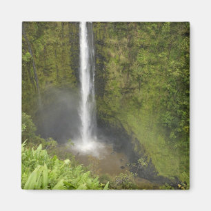 Imán Cascadas de Akaka, Costa de Hamakua, Isla de Hawai