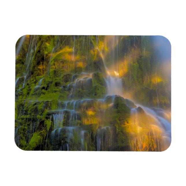 Imán Cascadas Proxy Falls Three Sisters Wilderness Oreg (Horizontal)
