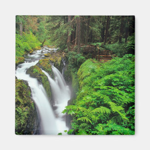 Imán Cascadas Sol Duc en el Parque Nacional Olímpico en