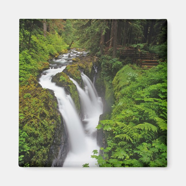 Imán Cascadas Sol Duc en el Parque Nacional Olímpico en (Frente)