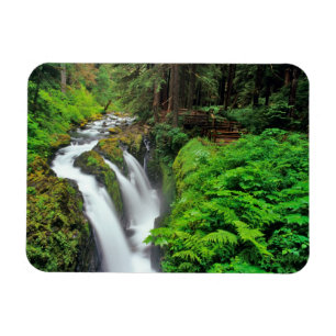 Imán Cascadas Sol Duc en el Parque Nacional Olímpico en