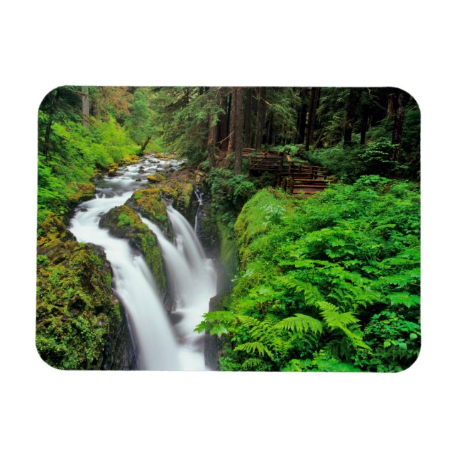 Imán Cascadas Sol Duc en el Parque Nacional Olímpico en (Horizontal)