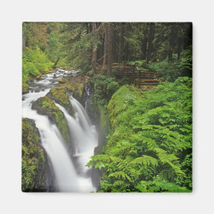 Imán Cascadas Sol Duc en el Parque Nacional Olímpico en